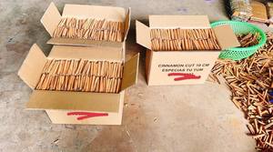 อบเชยแท่งเวียดนามพรีเมียม – เครื่องเทศธรรมชาติแบบทั้งแท่ง กลิ่นหอมเข้มข้น - Product Image 2