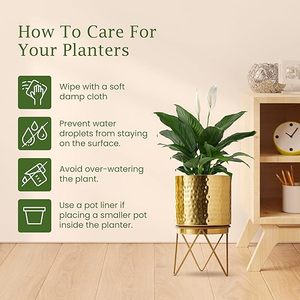 Modern <b>Brass</b> Flower Pot With Hammered Finish Handcrafted Planter For Desktop Green <b>Plants</b> Lightweight And Sturdy Design - Product Image 6