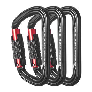 Set di 3 Moschettoni a D Resistenti, Forza di Trazione 30 KN/6744 Lbs, Autobloccanti, Attrezzatura Professionale per Arrampicata - Product Image 1