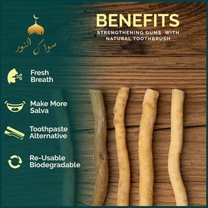 Natural Salvadora Persica <b>Miswak</b> Stick Traditional <b>Toothbrush</b> Portable Chewing Stick For Daily Oral Care And Personal Hygiene - Product Image 3