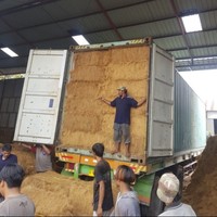 Fibre de coque de noix de coco de qualité supérieure à prix d'usine / Fibre de noix de coco séchée / Fibre de coco, agriculture biologique tendance et compétitive