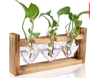 Terrarium en verre en forme de cœur avec support en bois, station de propagation, vase hydroponique coloré, décoration de jardin, cadeau - Product Image 5