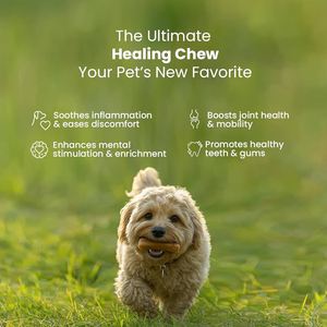 Queso de Leche de Yak del Himalaya Directo de Fábrica, Golosina Masticable para Perros con Sabor a Menta, Queso Duro Natural de Larga Duración, Suministro de Marca Privada OEM - Product Image 5