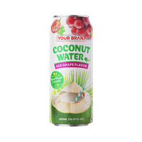 Uw Merk Kokoswater Rode Druivensmaak 490ml OEM ODM Private Label Drankfabrikant Fruit- en Groentesap