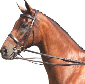 Bridon de concours Annabelle en cuir véritable Champion Show Weymouth, élégant, double, pour chevaux. Fournisseur d'équipement d'équitation. - Product Image 1