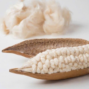 เส้นใยฝ้ายธรรมชาติจากเวียดนาม |   ใยฝ้ายออร์แกนิคสำหรับหมอน, เบาะรองนั่ง, ที่นอน, วัสดุเครื่องนอนที่ยั่งยืน - Product Image 2