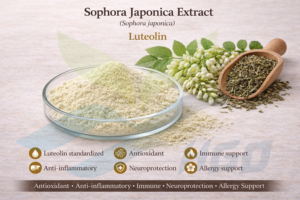 Suministro directo de fábrica de HGO, extracto puro natural de Sophora Japonica (grado alimenticio), especificación de luteolina 90% (extracto estandarizado) - Product Image 6