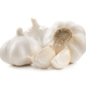 Suministro Directo del Fabricante, Ajo Blanco Fresco de la Mejor Calidad, Ajo Pelado Fresco de la Mejor Calidad en Venta a Precio Económico, 100% Natural - Product Image 2