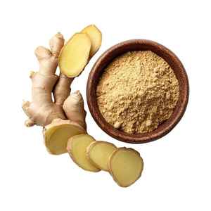 Vietnam Premium Organic Old <b>Ginger</b> Powder Food Grade Product with Custom Packaging and OEM Manufacturing - Product Image 2