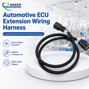 用于汽车 ECU 的带密封连接器的 CAN 总线扩展线束 - Product Image 1
