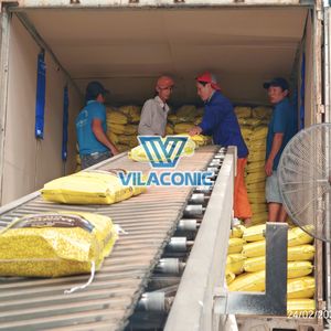 ข้าวหอมมะลิ ข้าวหอมเกรดพรีเมียม ข้าวหอมมะลิสำหรับขายส่ง |   โรงสีข้าวชั้นนำในเวียดนาม - Product Image 6