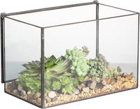 Nouveau terrarium géométrique en verre cristal de style vintage, forme dôme, pour la maison, le jardin, la table, le meilleur cadeau pour les amateurs de plantes