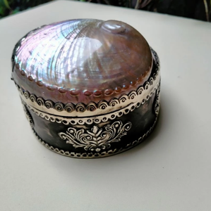 Seashell Nautical Jewelry Box <b>Abalone</b> <b>Shell</b> Polished Mother of Pearl Gift Vietnam Wholesale Factory Supply - Product Image 3