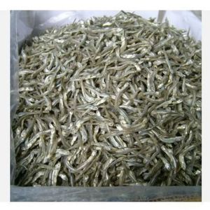 Anchoas enteras secas saladas en forma de filamento, nutritivas para sopas y nutrición de mascotas, paquete a granel, almacenamiento en seco - Product Image 2
