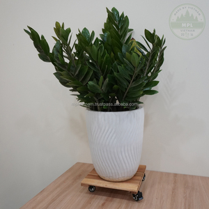 Chariot carré en bois d'acacia avec roulettes verrouillables à 360 degrés Pots de fleurs et jardinières d'extérieur de style rustique - Product Image 4