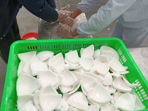 เนื้อมะพร้าวอ่อนแช่แข็ง IQF แบบหั่นชิ้น 100% สดใหม่ สำหรับสมูทตี้และวัตถุดิบร้านอาหาร-CARYLN - Product Image 2