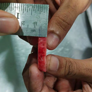 Venta al por Mayor de Fábrica: Snack de Fresa Entera Liofilizada Premium en Paquete al Vacío - Product Image 5