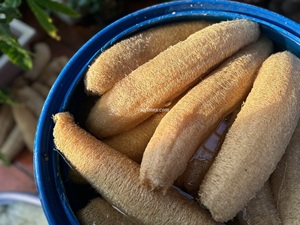 Éponge de Luffa Naturelle Biologique Entière 25-30cm, Cultivée au Vietnam, Design Simple, Emballage Biodégradable, Utilisation Corporelle - Product Image 4