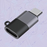 Adaptateur de charge audio personnalisé OEM en aluminium, type C mâle vers 8 broches femelle, pour téléphone, synchronisation des données OTG et alimentation rapide