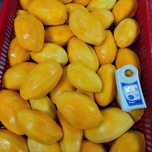 เนื้อมะม่วงแช่แข็งคุณภาพสูง IQF แบบขายส่ง ราคาประหยัด ด้วยกระบวนการรักษาความชุ่มชื้น ผลไม้แช่แข็งคุณภาพสูง - Product Image 1