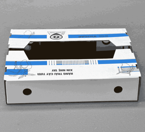 Proveedor OEM/ODM Ecológico en Vietnam Especializado en la Fabricación de Cajas de Cartón para la Exportación de Mangos. - Product Image 3