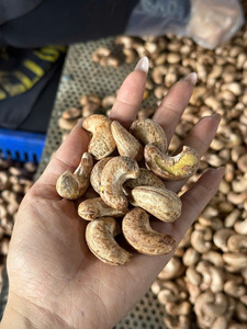 เม็ดมะม่วงหิมพานต์อบพรีเมียมจากเวียดนาม - ขนมขบเคี้ยวมีคุณค่าทางโภชนาการ - เนื้อกรุบกรอบ - ขายส่งจำนวนมาก - ผู้ส่งออกที่เชื่อถือได้ - Product Image 3