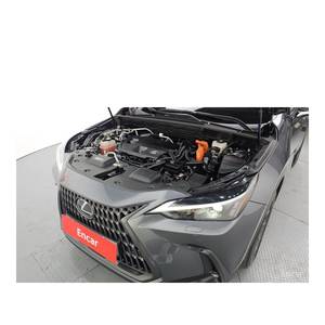 Lexus NX Premium con Cámara Trasera, Asientos de Cuero, Modelo de Julio de 2022, 47,499 km, Volante a la Izquierda - Product Image 6