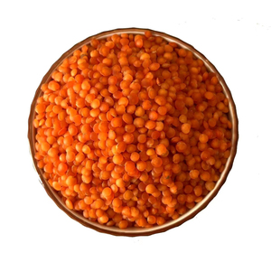 Conteneur de lentilles rouges professionnelles en gros pour l'exportation et le commerce de matières premières - Product Image 6