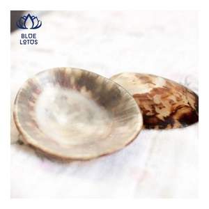 Concha de Limpet de Primera Calidad para la Recolección de Leche Materna y Protección del Pezón, Superficie Lisa Procesada y Limpia, Lista para Enviar - Product Image 2