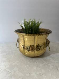 Maceta Moderna de Metal Color Dorado con Diseño de Cuerda en el Cuello, para Uso en Interiores y Exteriores, para Jardín, Vivero y Suelo - Product Image 2