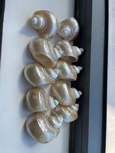 Natural Handmade Luxury Shell Napkin <b>Ring</b> Seashell Napkin Holder 10ml <b>Silver</b> Plated for Wedding Restaurant Decor - Product Image 2