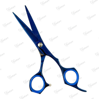 Ensemble de 2 ciseaux à cheveux en acier inoxydable de qualité supérieure, pour usage domestique, kit de coiffure pour barbier, ciseaux à effiler et à couper, pour droitiers, revêtement plasma bleu
