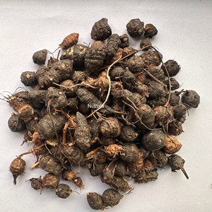 Extrait de CO2 de saponines à base de plantes Nagarmotha de qualité alimentaire de Cyperus Scariosus extrait de plante fluide super critique dans l'emballage de la boîte - Product Image 1