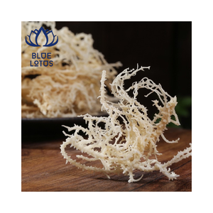 สาหร่ายคอตตอนนีแห้งคุณภาพสูง 100% จากธรรมชาติ (Kappaphycus Alvarezii Carrageenan) บรรจุภัณฑ์สุญญากาศแบบทั้งชิ้น บลูโลตัส - Product Image 1