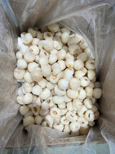 Lichi entero enlatado en almidón ligero – Certificado ISO/HACCP de Vietnam - Product Image 1
