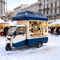 Chariot alimentaire écologique à énergie solaire avec batterie au lithium et système de charge par panneau solaire pour utilisation hors réseau