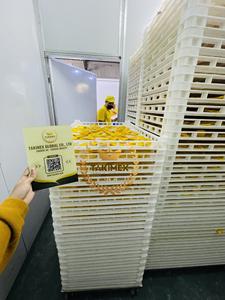 VENTE CHAUDE Mangue Séchée Tranche De Fruit Puce Naturel Sec Doux Vietnam Mangues Fruits Tropicaux Fabricant - Product Image 6