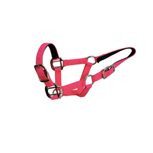 NUEVO: Brida de Nylon para Caballo, Equipo de Montar a Caballo Estilo Western, Transpirable, Color Personalizado - Product Image 3