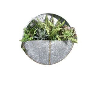 Jardinière murale ronde moderne en métal galvanisé, pour plantes succulentes et herbes, à suspendre, pour intérieur et extérieur, en acier, avec trou de suspension - Product Image 2