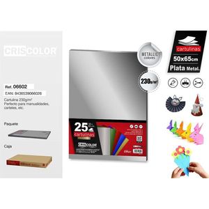 Cartoncino Argento 50X65CM per Lavori di Carta - Product Image 1