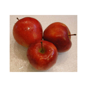 แอปเปิ้ลสดสีแดงหวานจากจีนขายส่ง - Product Image 2