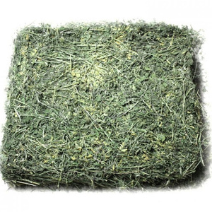 Heno de Alfalfa de Primera Calidad para Caballos y Ganado, Origen Reino Unido, 2 Años de Vida Útil - Product Image 6
