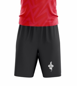 Maillot de football personnalisé avec logo imprimé sur le devant, fabriqué en usine, 100 % polyester, séchage rapide, manches courtes, dernier design - Product Image 3