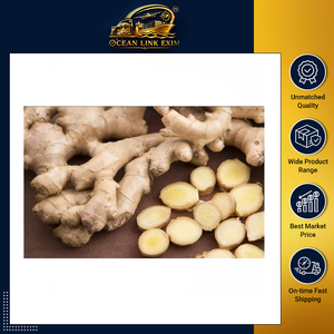 <b>Fresh</b> <b>Ginger</b> Root Export Grade <b>Fresh</b> Harvest <b>Ginger</b> for Cooking and Food Industries - Product Image 6