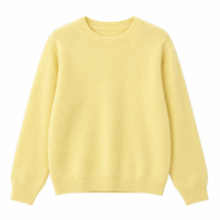 Pull en laine mérinos à col rond, couleur unie, manches longues, doux et moelleux, style coréen, chic et décontracté pour femmes