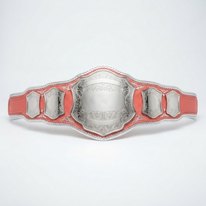 Ceinture de champion en plaque métallique, personnalisée pour la lutte, la boxe, les sports, les trophées, les récompenses, les compétitions, avec sangle en cuir et design personnalisé - Product Image 1