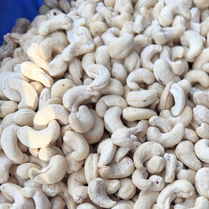 Noix de cajou A180 Santigo du Vietnam, torréfiées, directement de l'usine, avec emballage personnalisé - Product Image 1