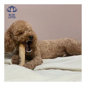 Bâton à mâcher en bois de café pour chiens, très populaire, jouet durable pour la dentition, favorise le nettoyage dentaire et réduit le stress chez les animaux domestiques 2026 - Product Image 2