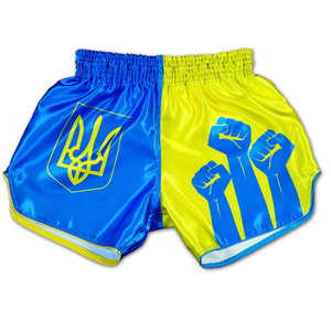 Shorts de Muay Thai légers à taille élastique, vêtements d'entraînement MMA, boxe, kickboxing, sportswear, option de taille personnalisée - Product Image 6
