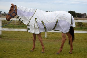 Couverture pour cheval, accessoires équestres, tapis anti-mouches pour cheval, couverture d'extérieur en maille avec cache-cou pour l'été - Product Image 4